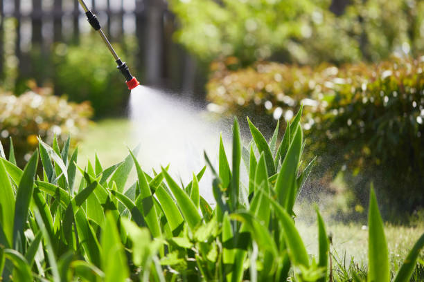24/7 Emergency Fumigation Services experts in Madisonville, LA