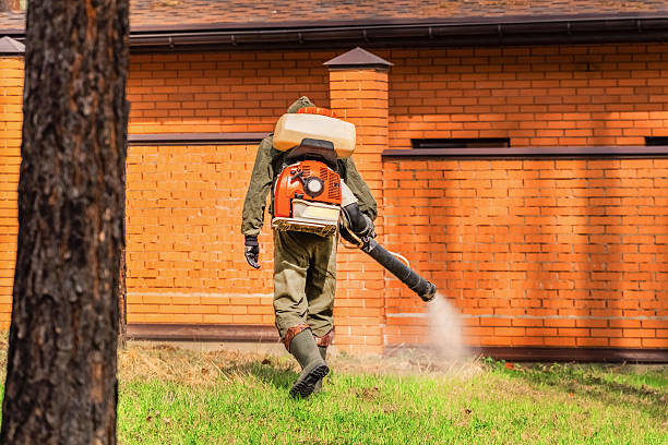 Trusted Termite Control service in Madisonville, LA - Nex Pest Control